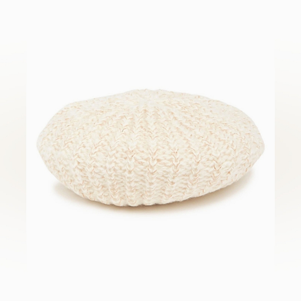 NWT Metallic Knit Baret